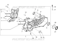 Carter