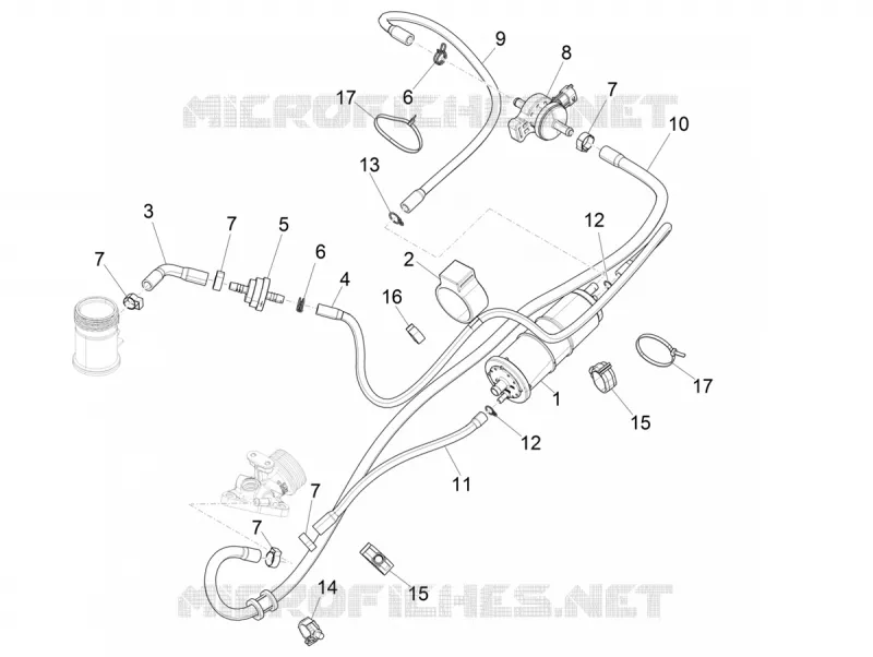 Système anti-évaporation PIAGGIO PIAGGIO-SCOOTER 125 LIBERTY 2021  Liberty 125 4T iGet 3V ie ABS Euro 5