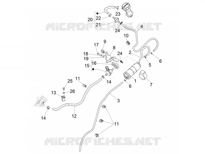 Système anti-évaporation VESPA VESPA-SCOOTER 150 PRIMAVERA 2021  Primavera 150 Euro 5 ABS