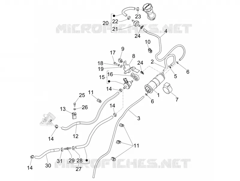 Système anti-évaporation VESPA VESPA-SCOOTER 50 PRIMAVERA 2021  Primavera 50 4T 3V Euro 5
